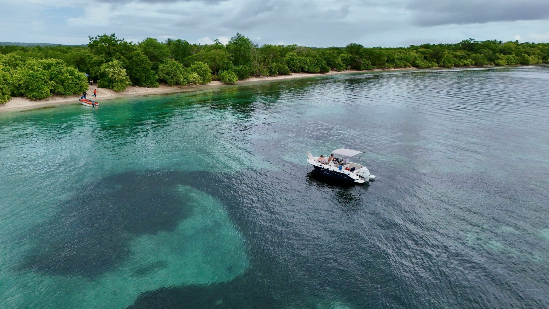 Pacific Craft 545 Open | Maui