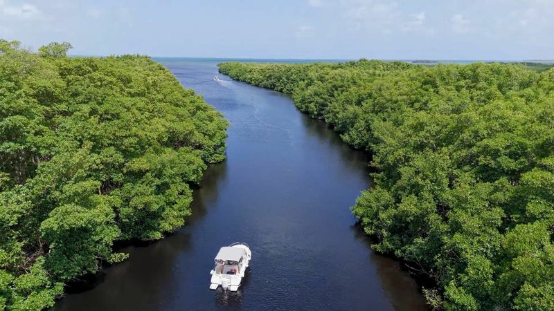 Pacific Craft 545 Open | Maui