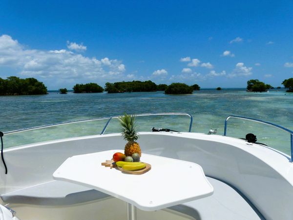 Pacific Craft 545 Open | Maui