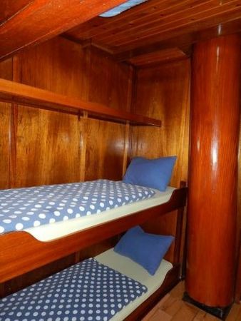 Custom Built 151 | Albert Johannes