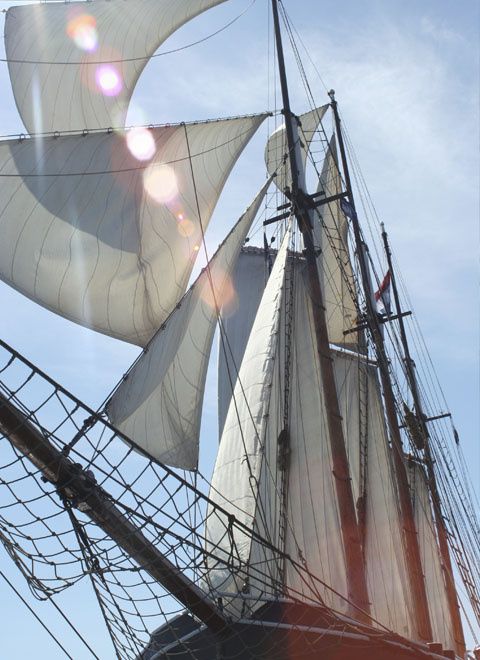 Custom Built 151 | Albert Johannes