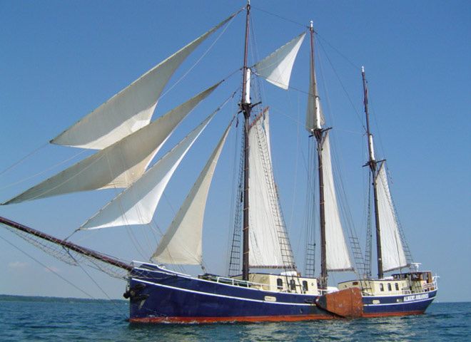 Custom Built 151 | Albert Johannes