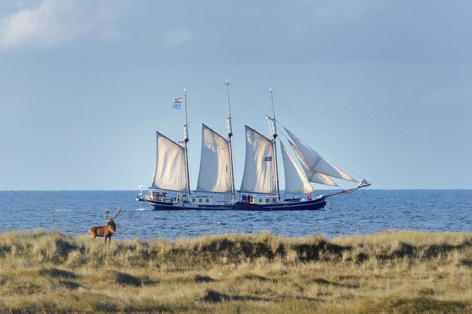 Custom Built 151 | Albert Johannes