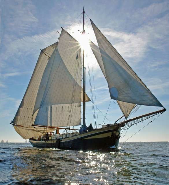 Custom Built 92 | Kaat Mossel