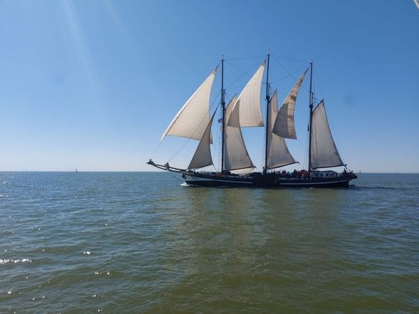 Custom Built 118 | Nil Desperandum