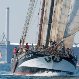 Custom Built 118 | Pegasus