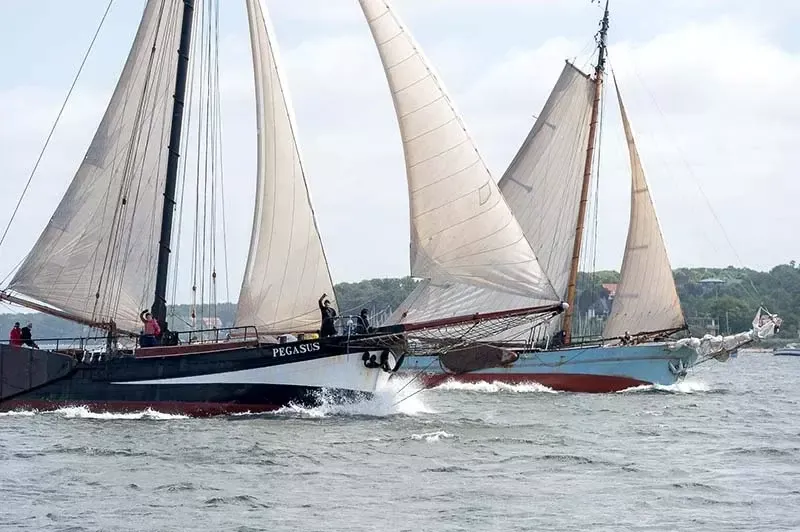 Custom Built 118 | Pegasus