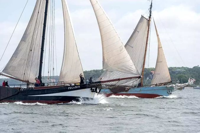 Custom Built 118 | Pegasus