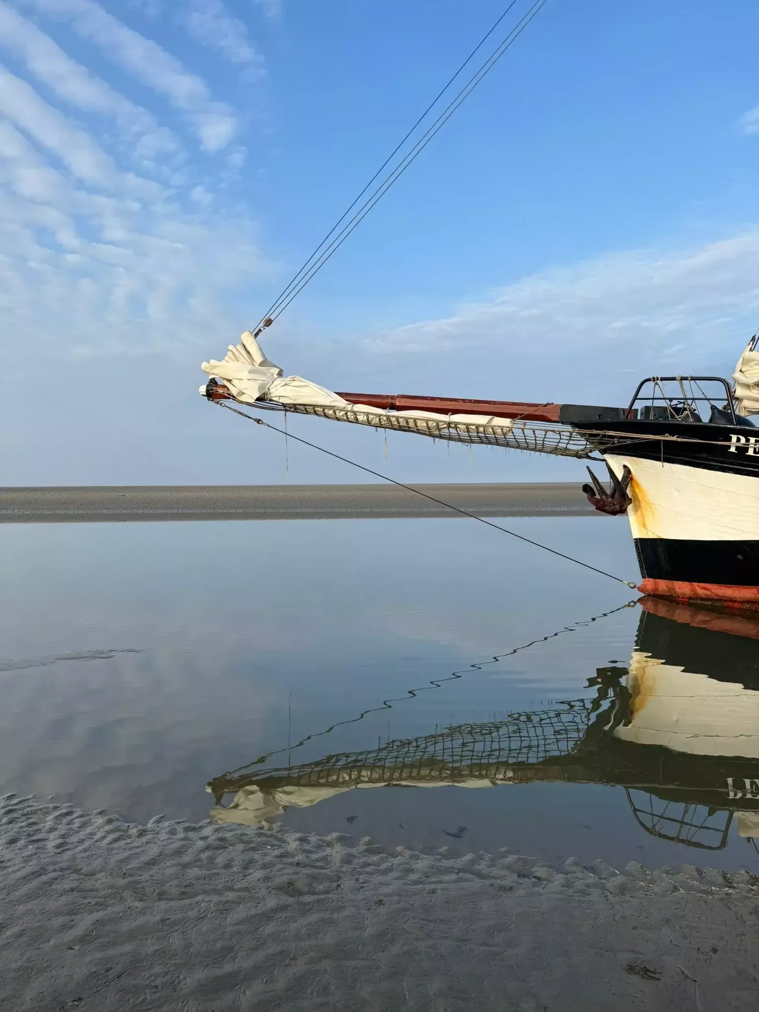 Custom Built 118 | Pegasus