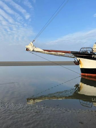 Custom Built 118 | Pegasus