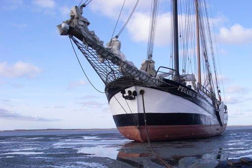 Custom Built 118 | Pegasus