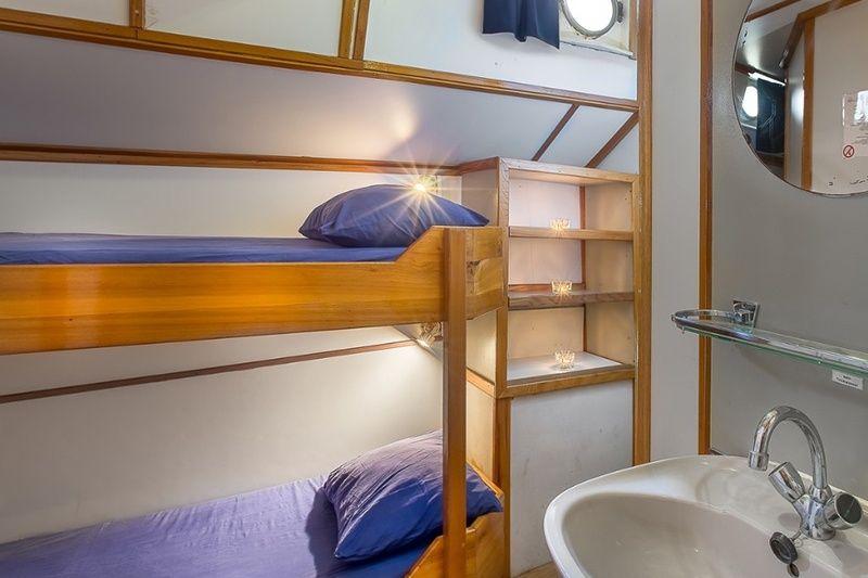 Custom Built 118 | Pegasus