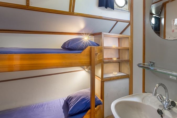 Custom Built 118 | Pegasus