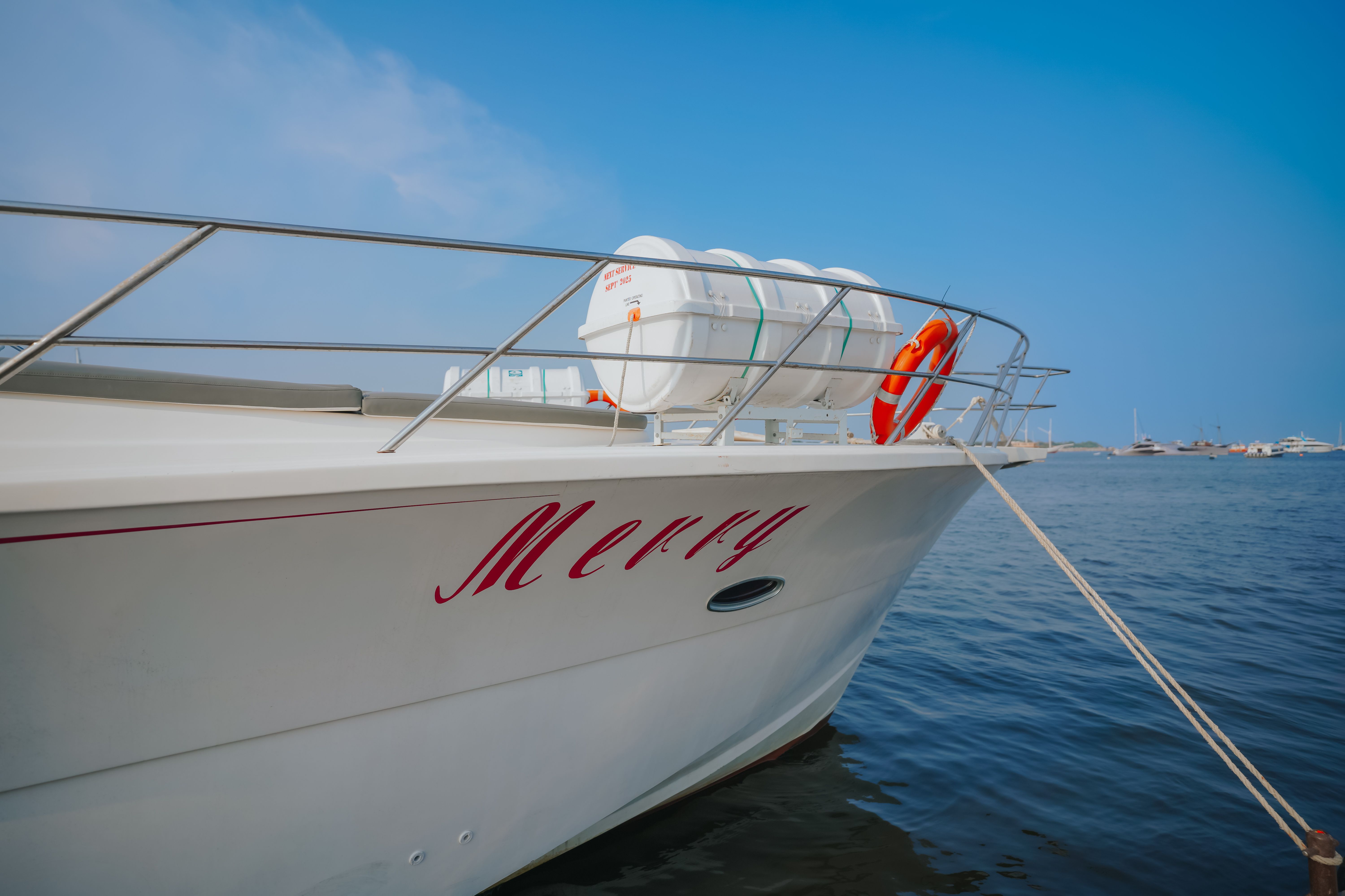 Custom Built 65 | La Merry