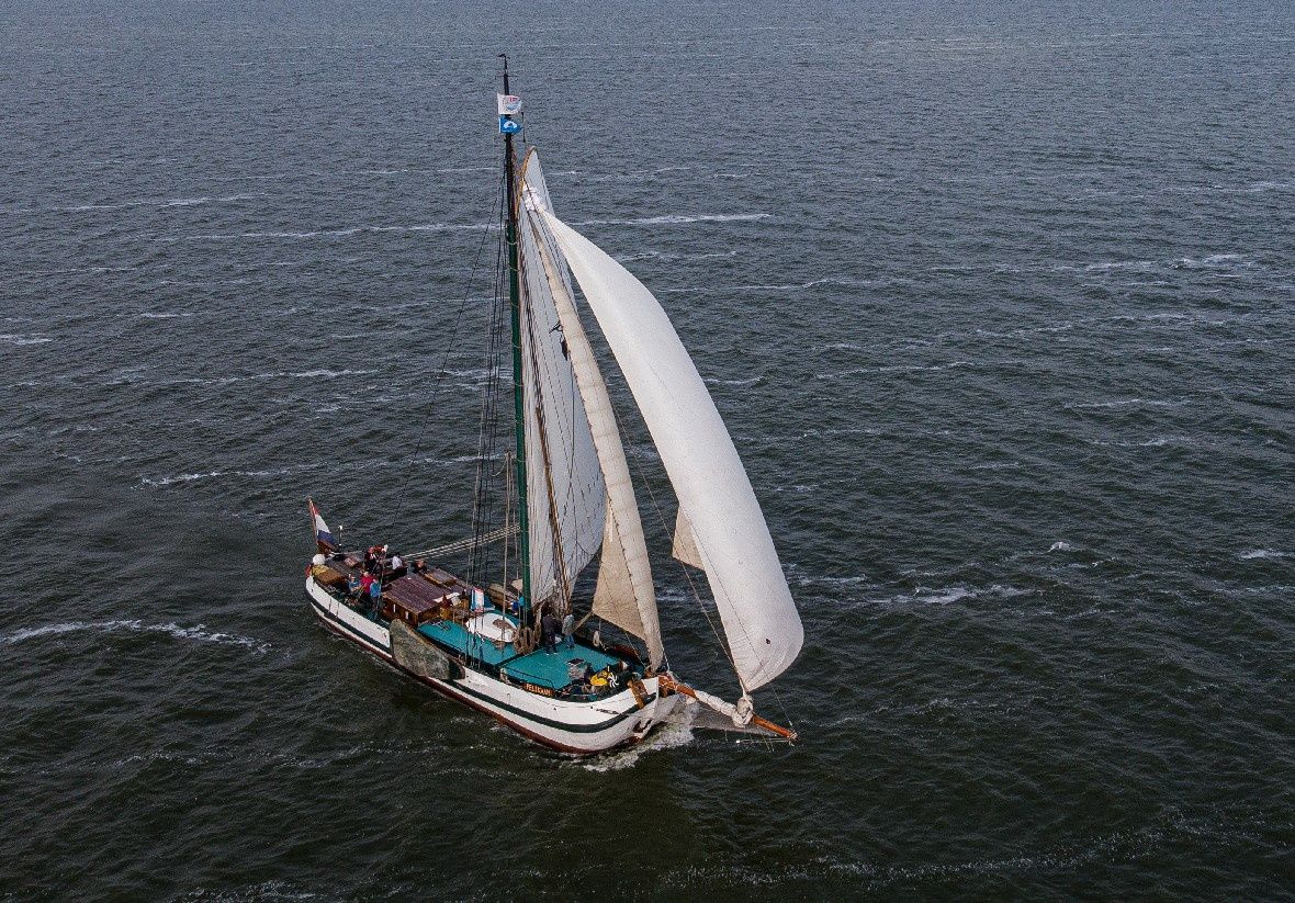 Custom Built 85 | Pelikaan