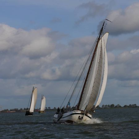 Custom Built 85 | Pelikaan