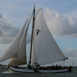 Custom Built 85 | Pelikaan