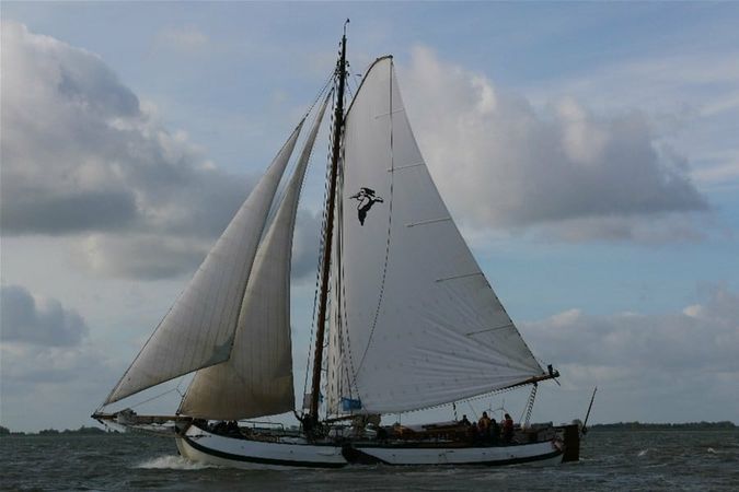 Custom Built 85 | Pelikaan