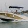Barracuda 545 | 2
