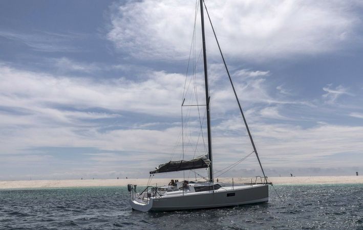 Pogo 36 | Veridis Quo