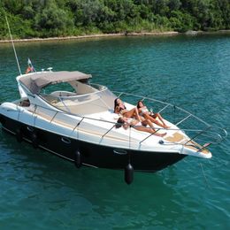 Gobbi 335 | Tara Two