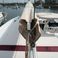Fountaine Pajot New 41 | Carpe Diem
