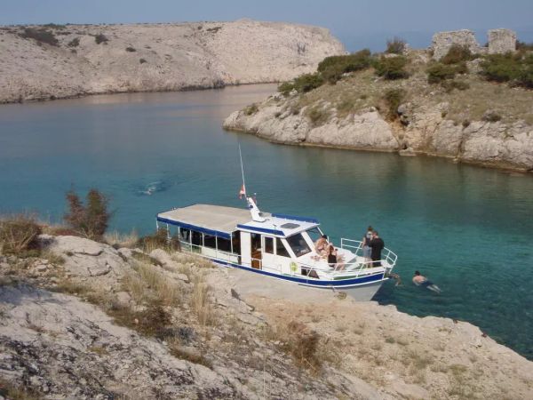 Custom Built 43 | Irma