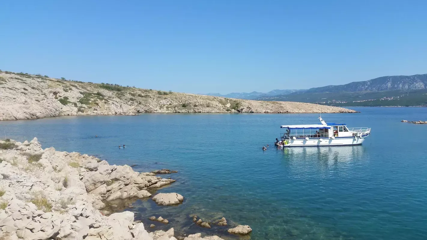 Custom Built 43 | Irma