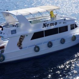 Custom Built 82 | Nemo