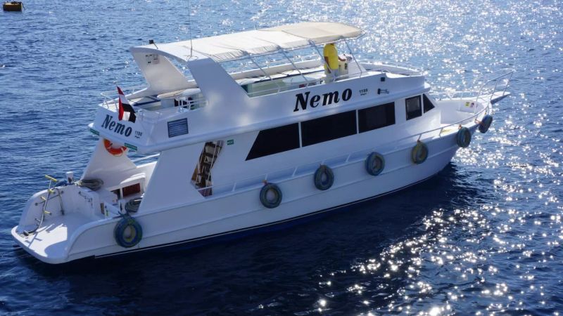 Custom Built 82 | Nemo