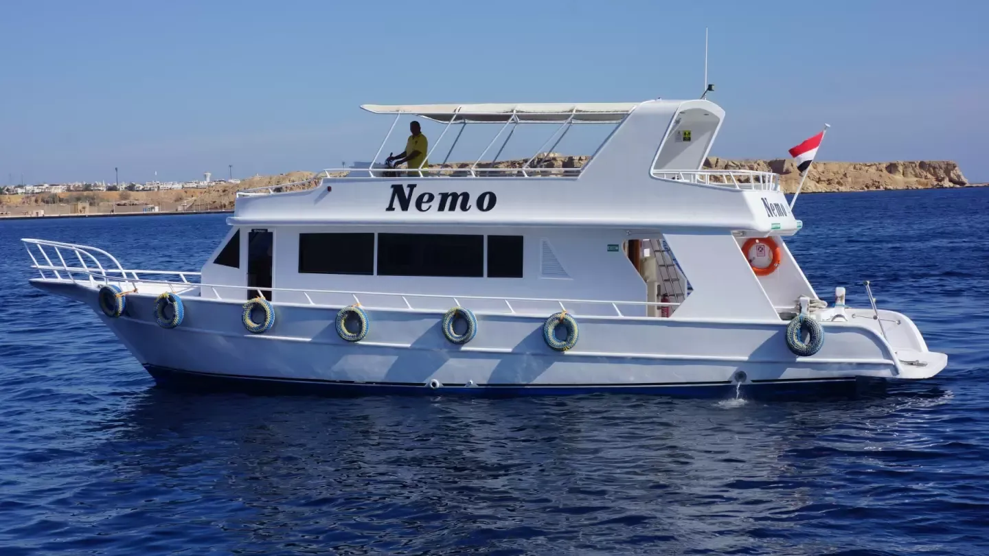 Custom Built 82 | Nemo