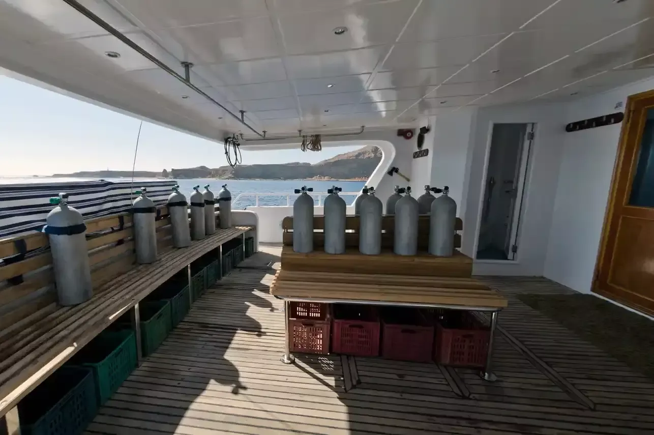 Custom Built 82 | Snefro Pearl