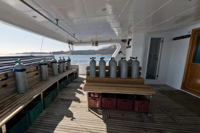 Custom Built 82 | Snefro Pearl