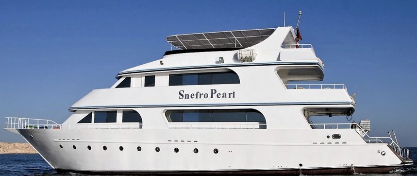 Custom Built 82 | Snefro Pearl