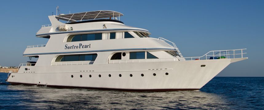 Custom Built 82 | Snefro Pearl