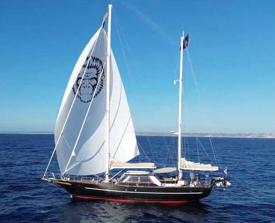 Jongert 22D | Iron Monkey