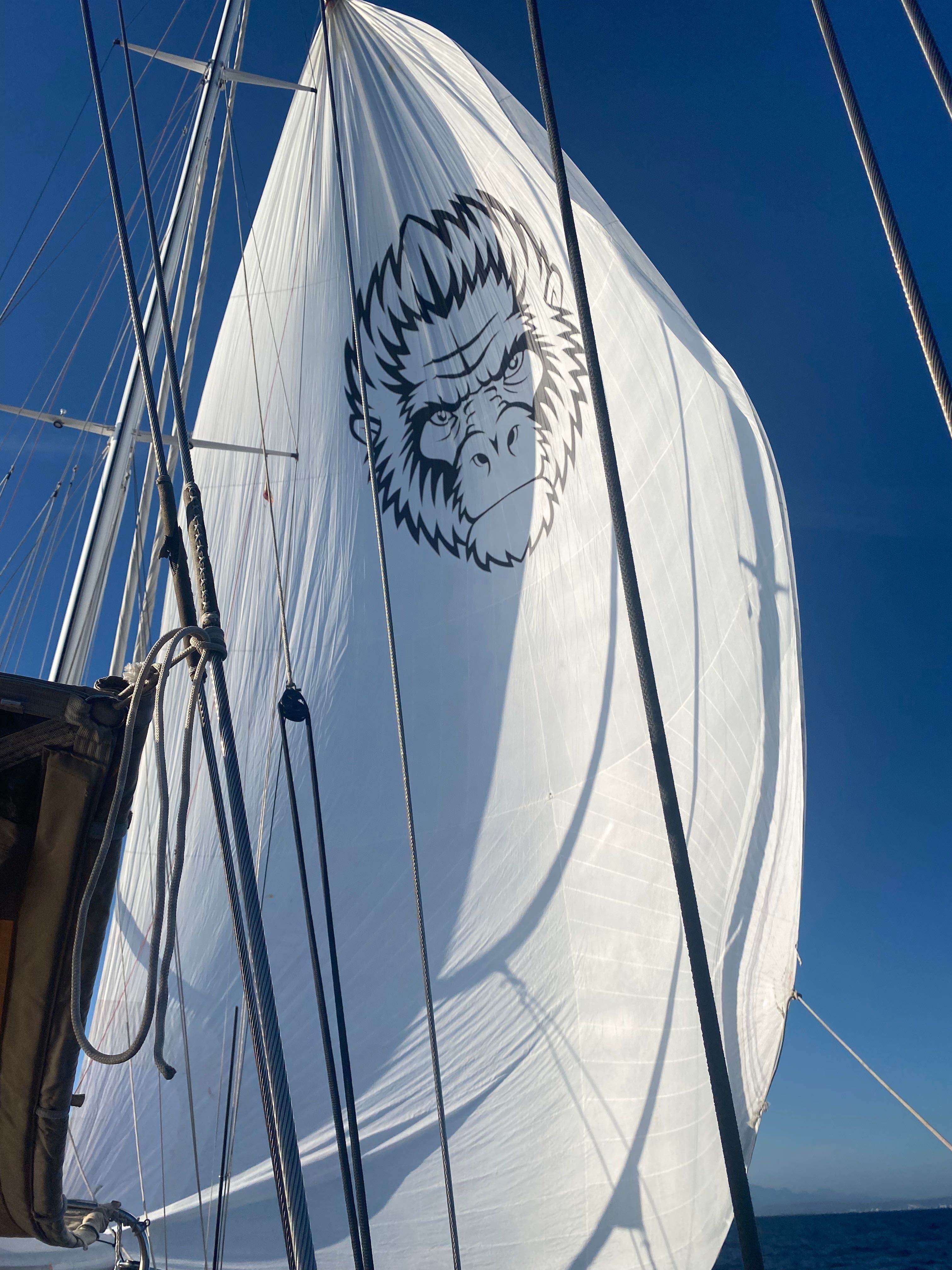 Jongert 22D | Iron Monkey