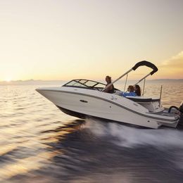 Sea Ray 190 SPX | 16
