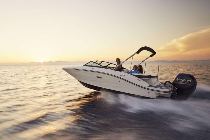 Sea Ray 190 SPX | 16