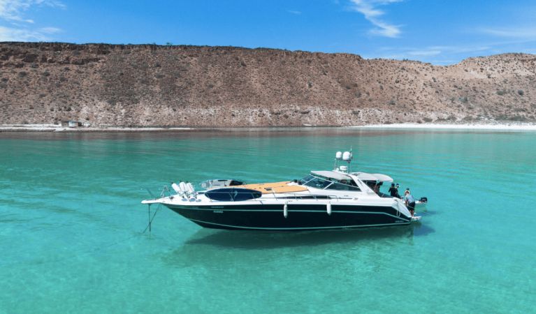 Sea Ray 50 | Alegra