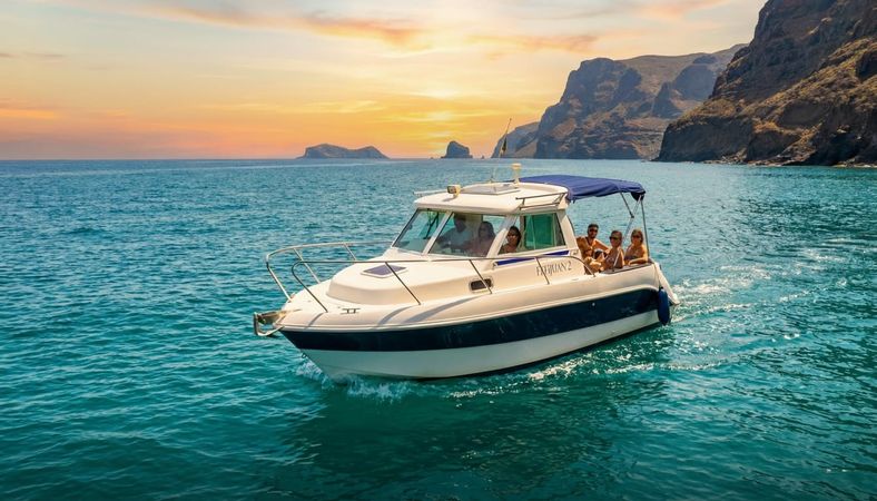 Saver 690 | Fefijuan 2