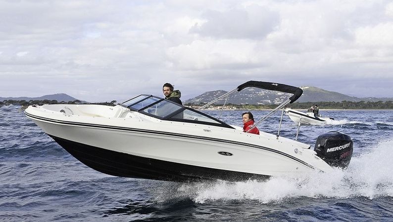 Sea Ray SPX 210 | 23