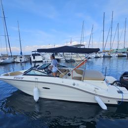 Sea Ray 190 | Rivaillon
