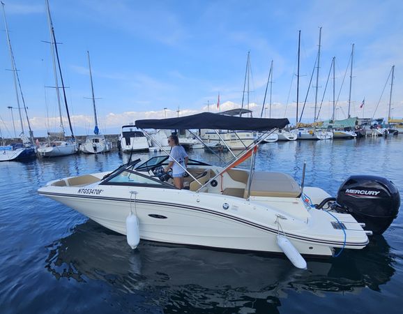 Sea Ray 190 | Rivaillon