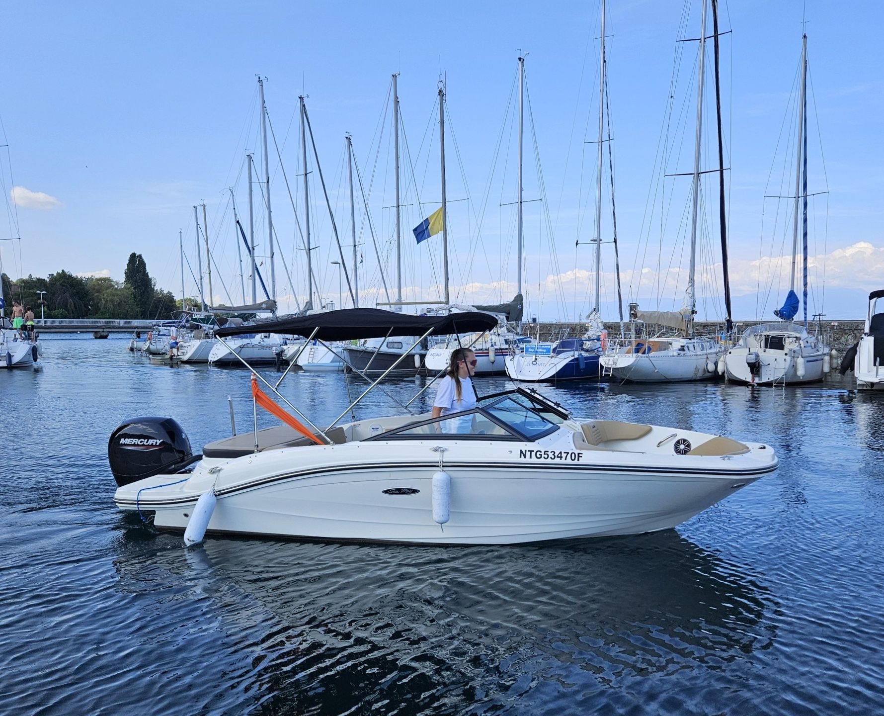 Sea Ray 190 | Rivaillon