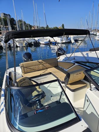 Sea Ray SPX 210 | Leman