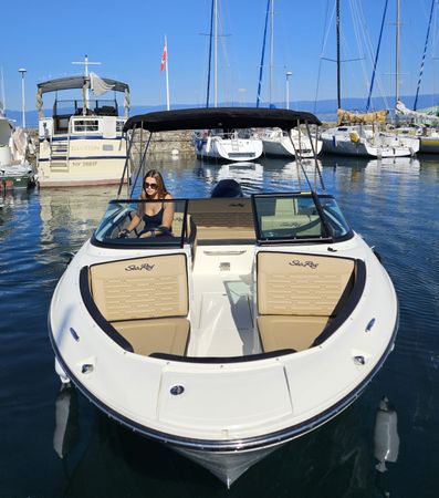 Sea Ray SPX 210 | Leman