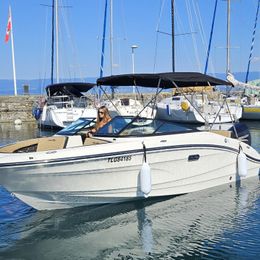 Sea Ray SPX 210 | Leman