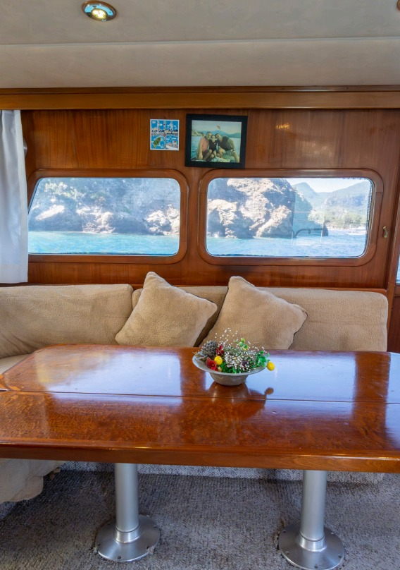 Custom Built 65 | Buse 9