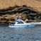 Rampage 38 | Tonina Cruises